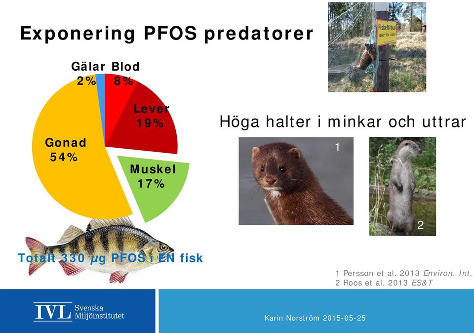 uttrar 1 2 Totalt 330 µg POS i EN fisk 1 Persson