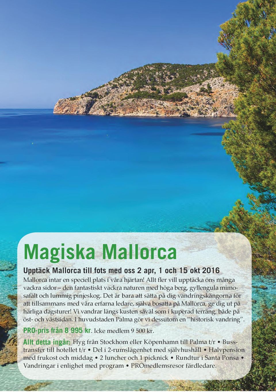 Det är bara att sätta på dig vandringskängorna för att tillsammans med våra erfarna ledare, själva bosatta på Mallorca, ge dig ut på härliga dagsturer!