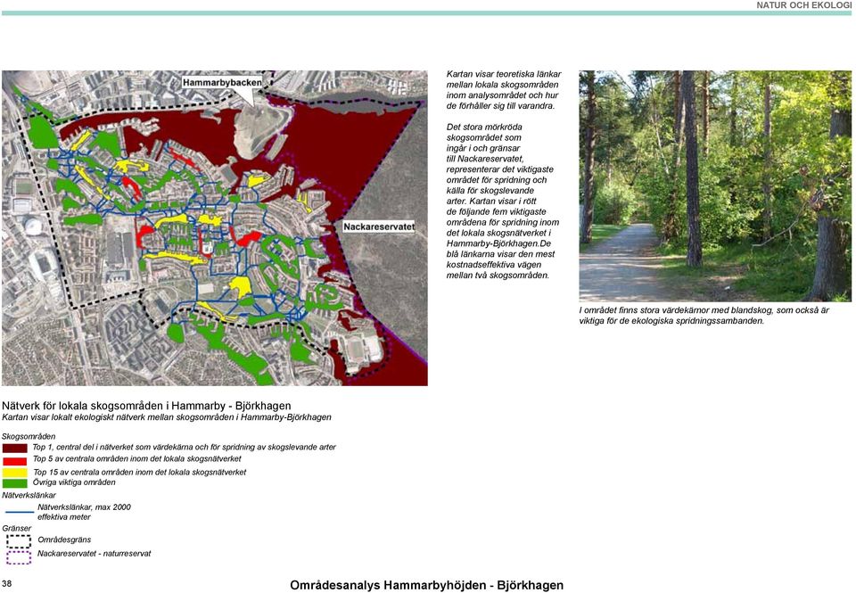 Kartan visar i rött de följande fem viktigaste områdena för spridning inom det lokala skogsnätverket i Hammarby-Björkhagen.
