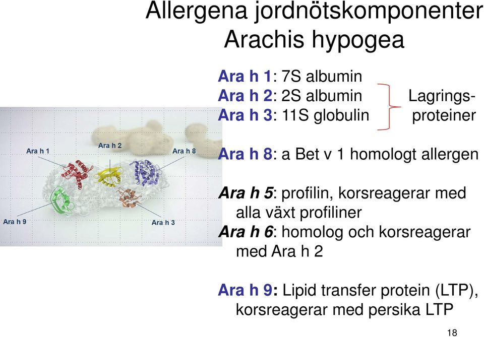 allergen Ara h 5: profilin, korsreagerar med alla växt profiliner Ara h 6: homolog