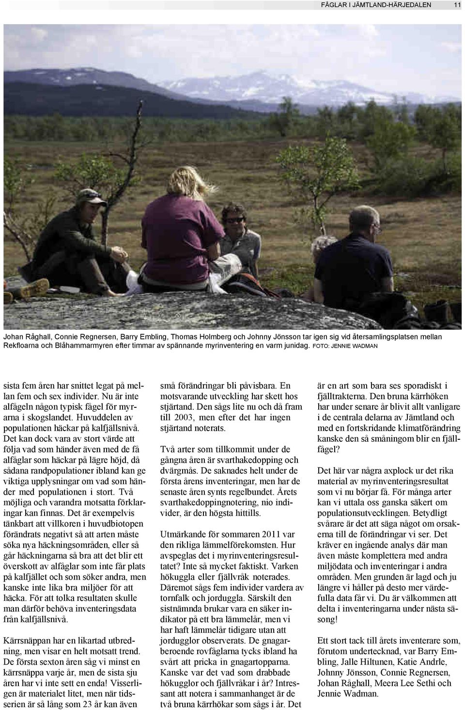 Nu är inte alfågeln någon typisk fågel för myrarna i skogslandet. Huvuddelen av populationen häckar på kalfjällsnivå.