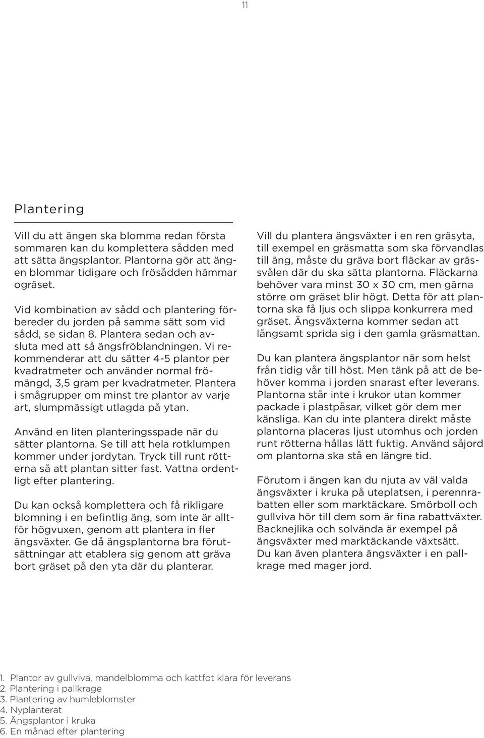 Vi rekommenderar att du sätter 4-5 plantor per kvadratmeter och använder normal frömängd, 3,5 gram per kvadratmeter.