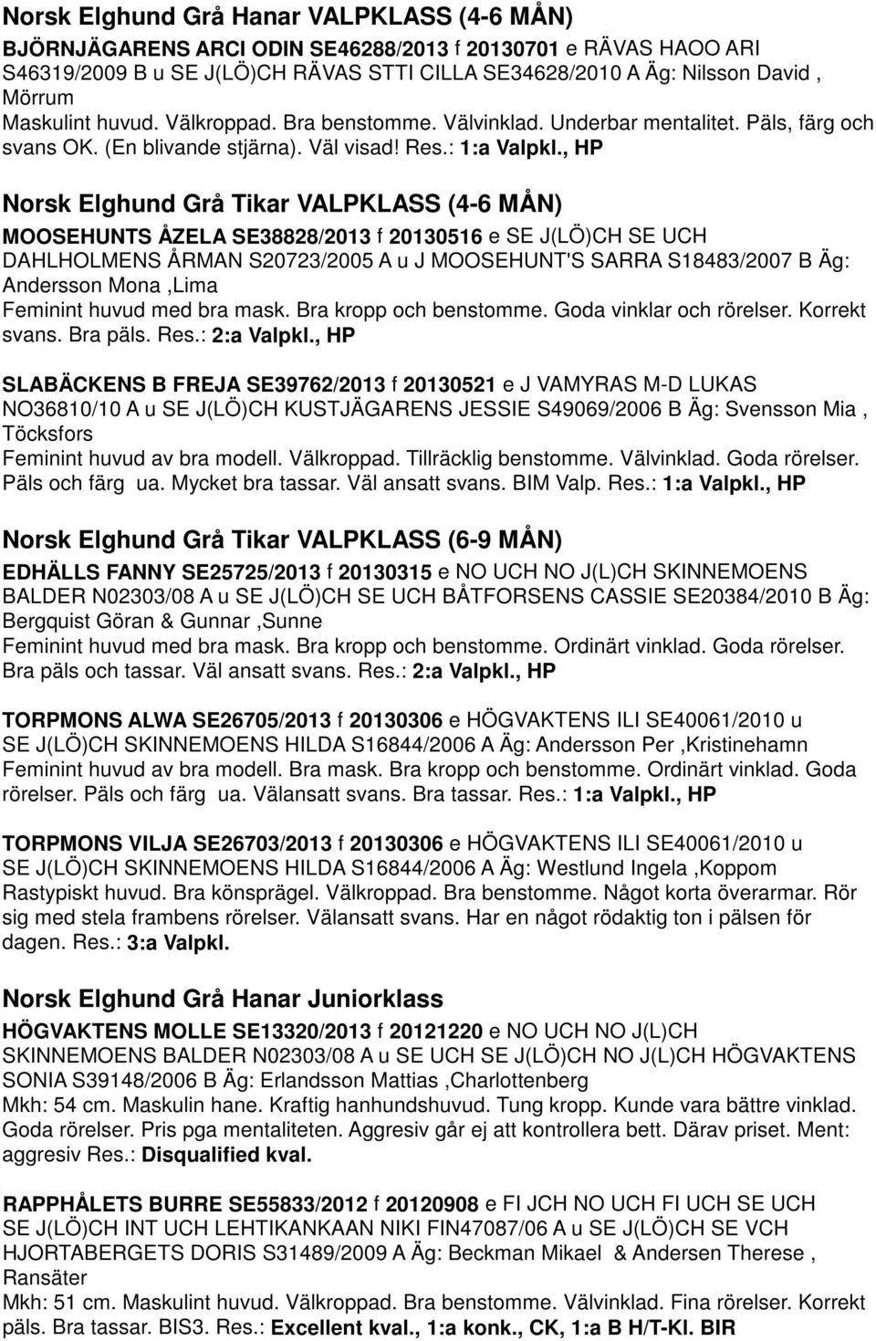 , HP Norsk Elghund Grå Tikar VALPKLASS (4-6 MÅN) MOOSEHUNTS ÅZELA SE38828/2013 f 20130516 e SE J(LÖ)CH SE UCH DAHLHOLMENS ÅRMAN S20723/2005 A u J MOOSEHUNT'S SARRA S18483/2007 B Äg: Andersson