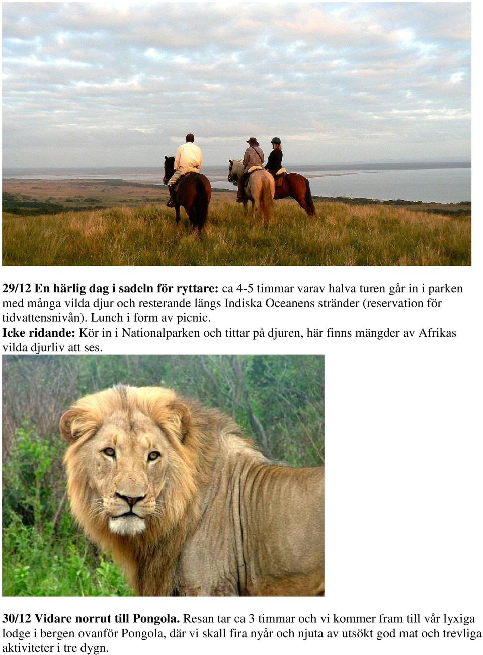Icke ridande: Kör in i Nationalparken och tittar på djuren, här finns mängder av Afrikas vilda djurliv att ses.