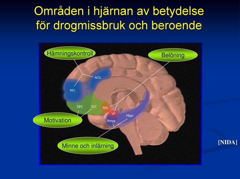 Hämningskontroll Belöning