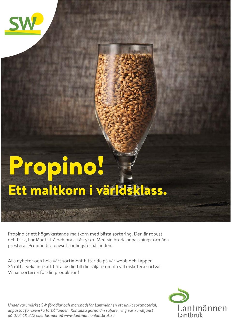 Tveka inte att höra av dig till din säljare om du vill diskutera sortval. Vi har sorterna för din produktion!