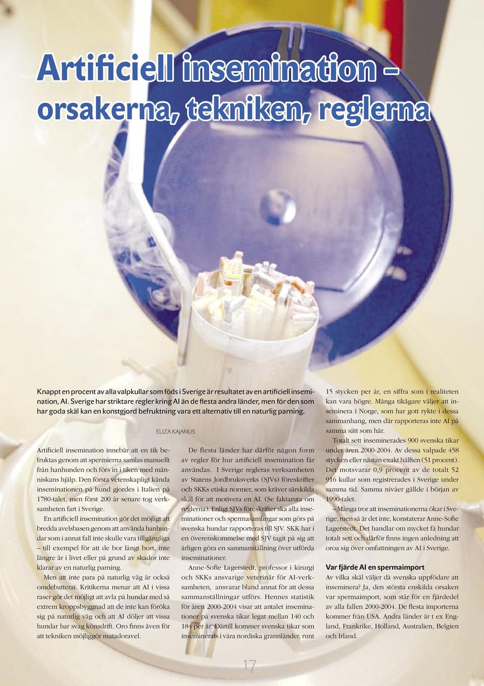 Artificiell insemination innebär att en tik befruktas genom att spermierna samlas manuellt från hanhunden och förs in i tiken med människans hjälp.