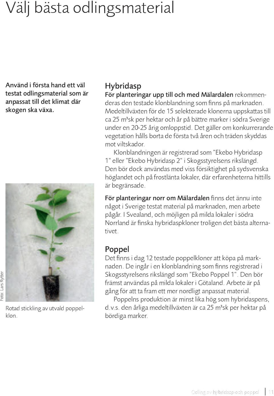 Medeltillväxten för de 15 selekterade klonerna uppskattas till ca 25 m³sk per hektar och år på bättre marker i södra Sverige under en 20-25 årig omloppstid.