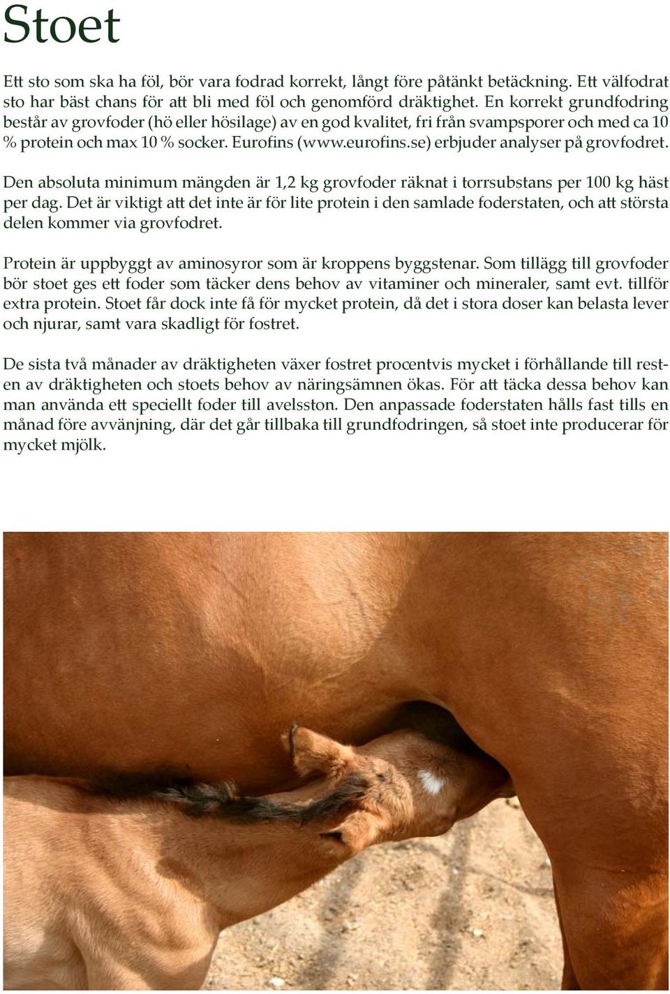 se) erbjuder analyser på grovfodret. Den absoluta minimum mängden är 1,2 kg grovfoder räknat i torrsubstans per 100 kg häst per dag.