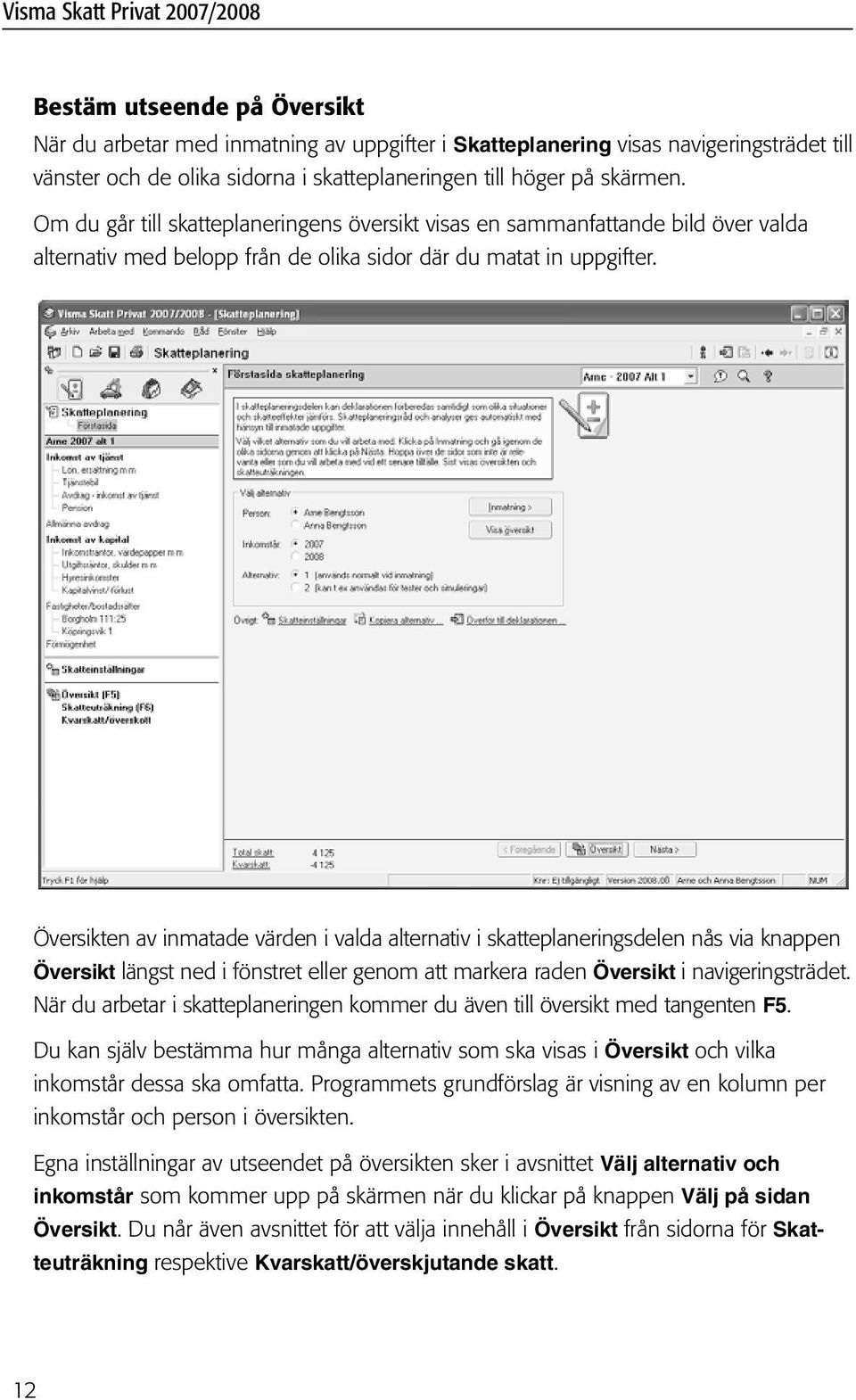 Översikten av inmatade värden i valda alternativ i skatteplaneringsdelen nås via knappen Översikt längst ned i fönstret eller genom att markera raden Översikt i navigeringsträdet.