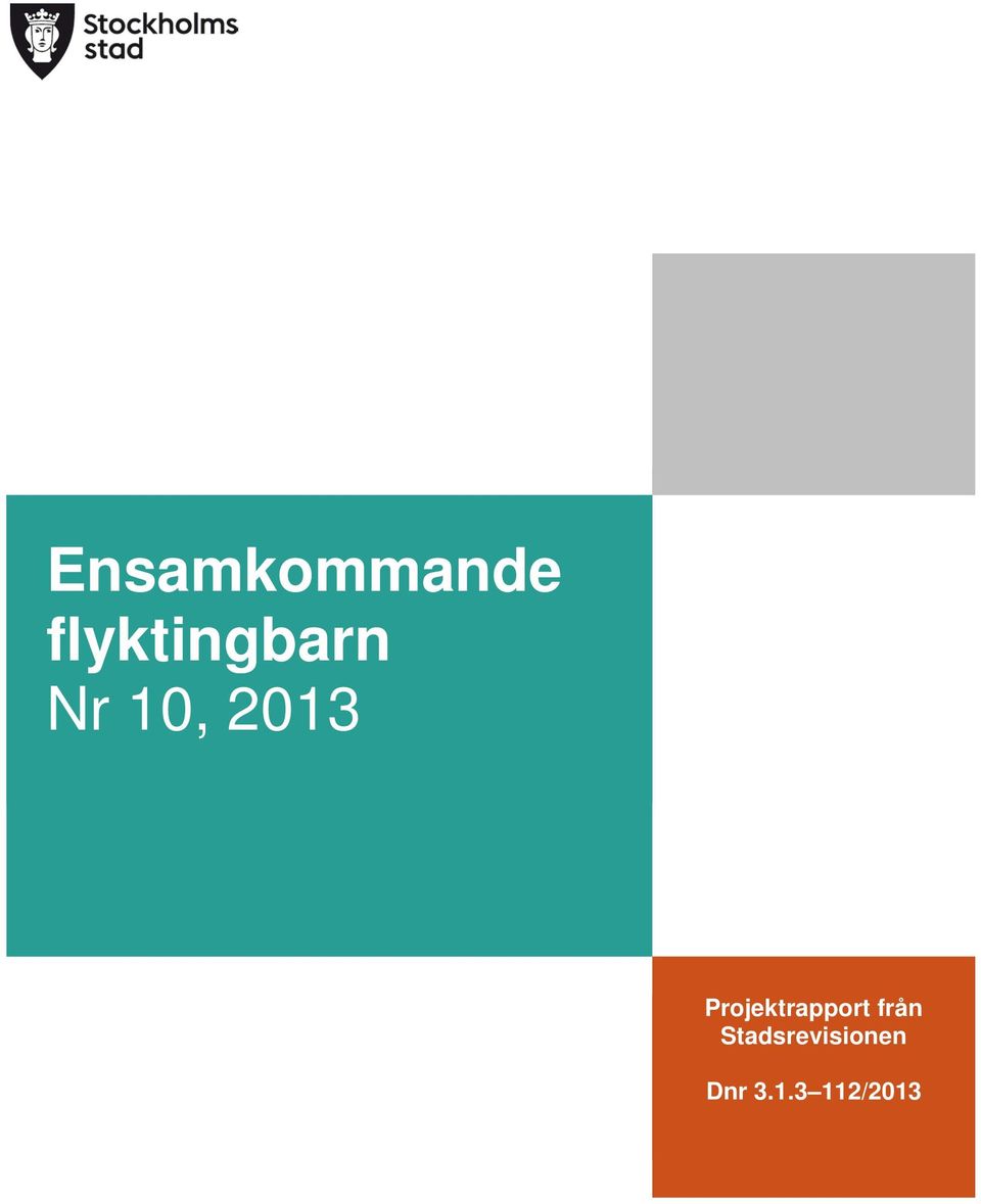 2013 Projektrapport