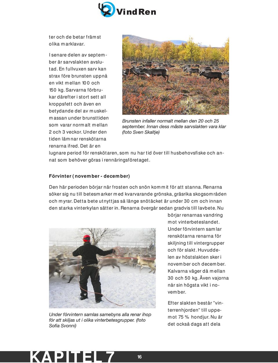 Under den tiden lämnar renskötarna renarna ifred. Det är en lugnare period för renskötaren, som nu har tid över till husbehovsfiske och annat som behöver göras i rennäringsföretaget.