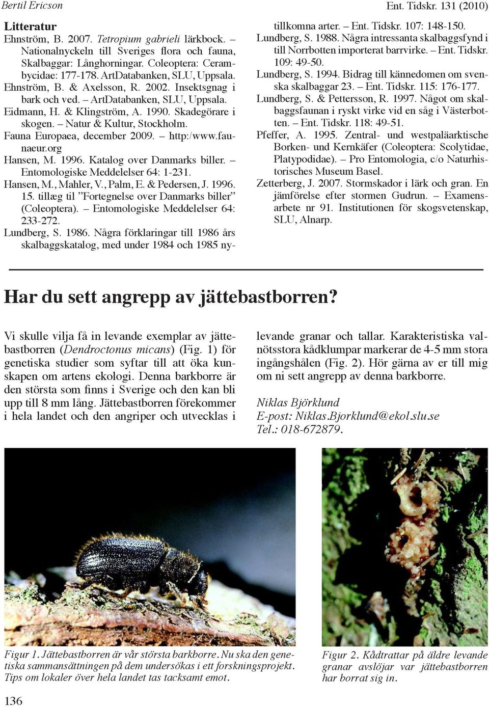 Skadegörare i skogen. Natur & Kultur, Stockholm. Fauna Europaea, december 2009. http:/www.faunaeur.org Hansen, M. 1996. Katalog over Danmarks biller. Entomologiske Meddelelser 64: 1-231. Hansen, M., Mahler, V.