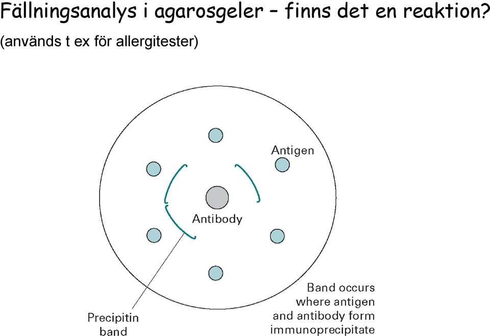 en reaktion?