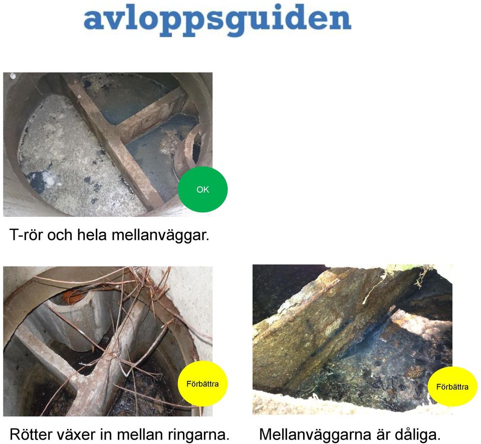 Förbättra Förbättra Rötter