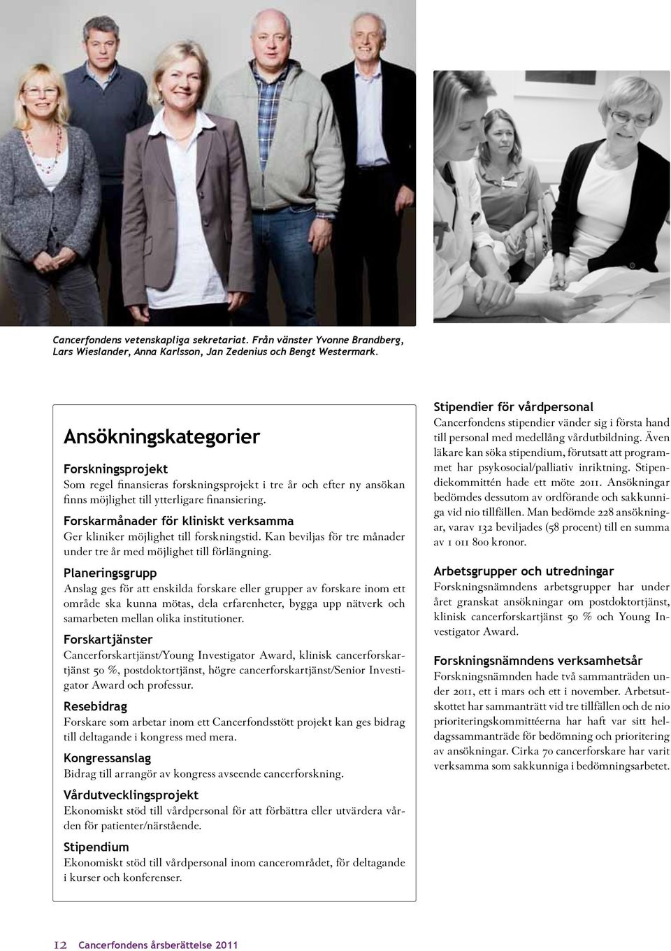 Forskarmånader för kliniskt verksamma Ger kliniker möjlighet till forskningstid. Kan beviljas för tre månader under tre år med möjlighet till förlängning.