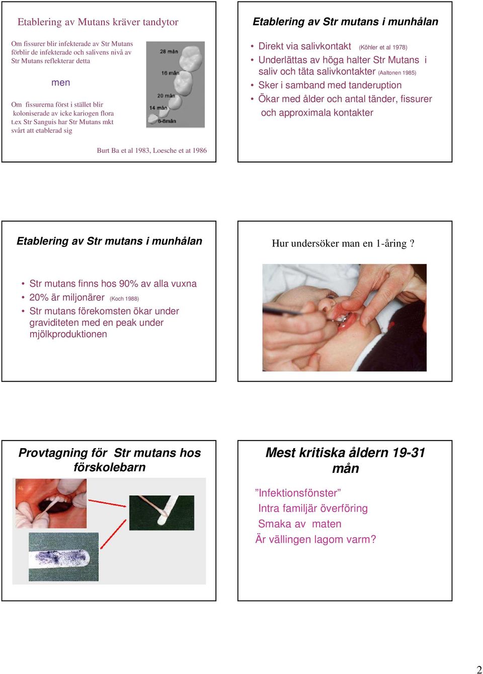 ex Str Sanguis har Str Mutans mkt svårt att etablerad sig Direkt via salivkontakt (Köhler et al 1978) Underlättas av höga halter Str Mutans i saliv och täta salivkontakter (Aaltonen 1985) Sker i