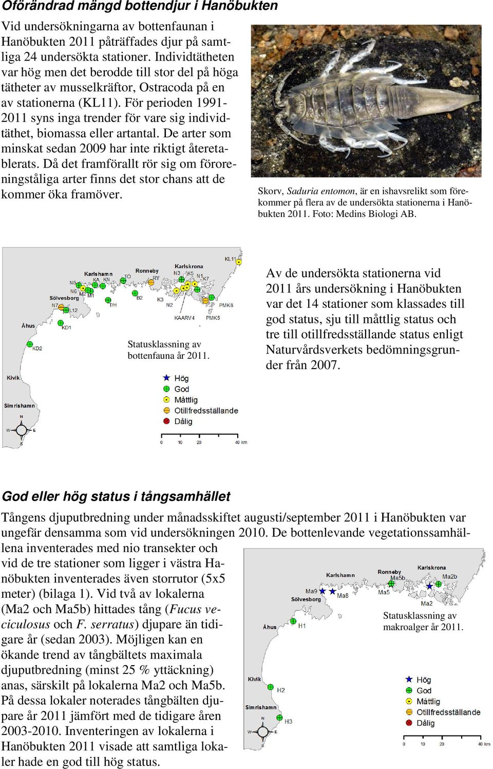 För perioden 1991-211 syns inga trender för vare sig individtäthet, biomassa eller artantal. De arter som minskat sedan 29 har inte riktigt återetablerats.