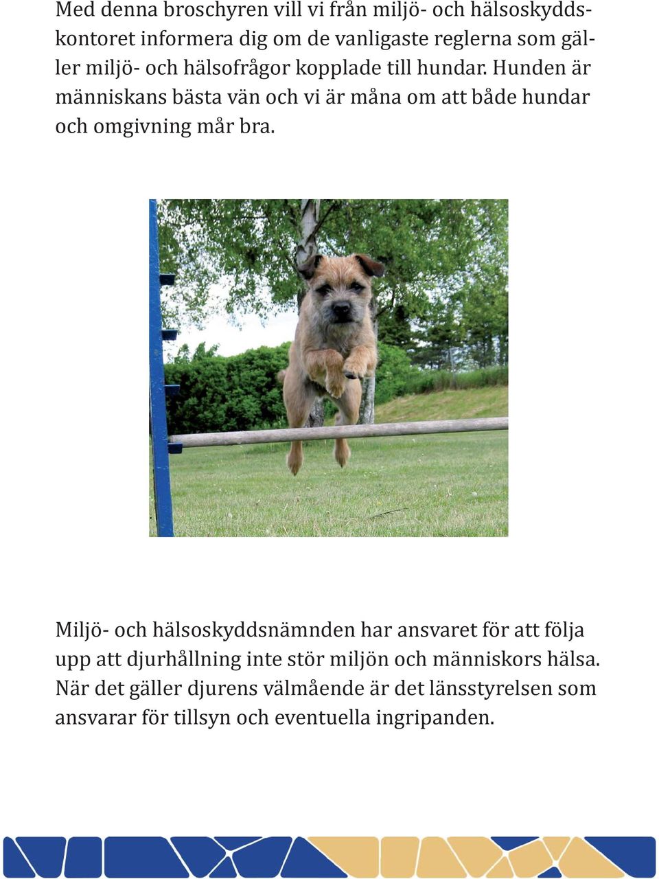 Hunden är människans bästa vän och vi är måna om att både hundar och omgivning mår bra.