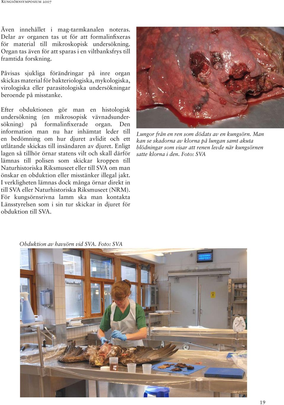 Påvisas sjukliga förändringar på inre organ skickas material för bakteriologiska, mykologiska, virologiska eller parasitologiska undersökningar beroende på misstanke.