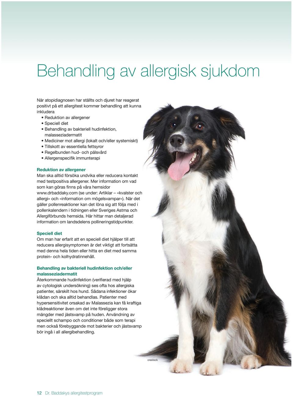 immunterapi Reduktion av allergener Man ska alltid försöka undvika eller reducera kontakt med testpositiva allergener. Mer information om vad som kan göras finns på våra hemsidor www.drbaddaky.