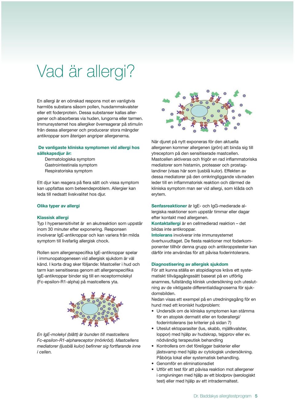 Immunsystemet hos allergiker överreagerar på stimulin från dessa allergener och producerar stora mängder antikroppar som återigen angriper allergenerna.