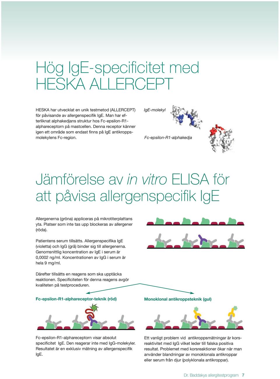IgE-molekyl Fc-epsilon-R1-alphakedja Jämförelse av in vitro ELISA för att påvisa allergenspecifik IgE Allergenerna (gröna) appliceras på mikrotiterplattans yta.