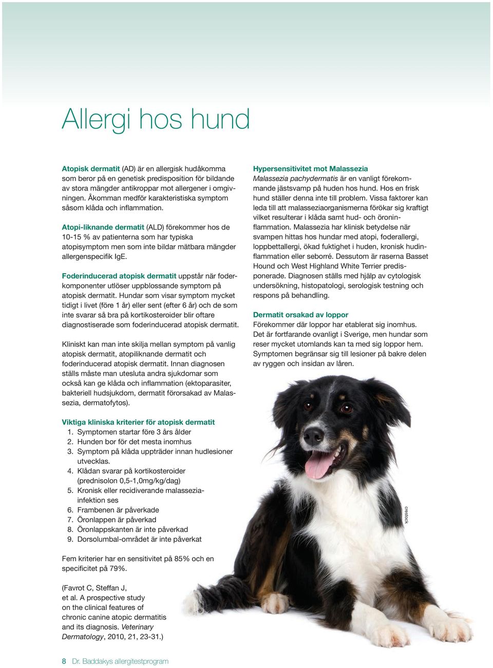 Atopi-liknande dermatit (ALD) förekommer hos de 10-15 % av patienterna som har typiska atopisymptom men som inte bildar mätbara mängder allergenspecifik IgE.