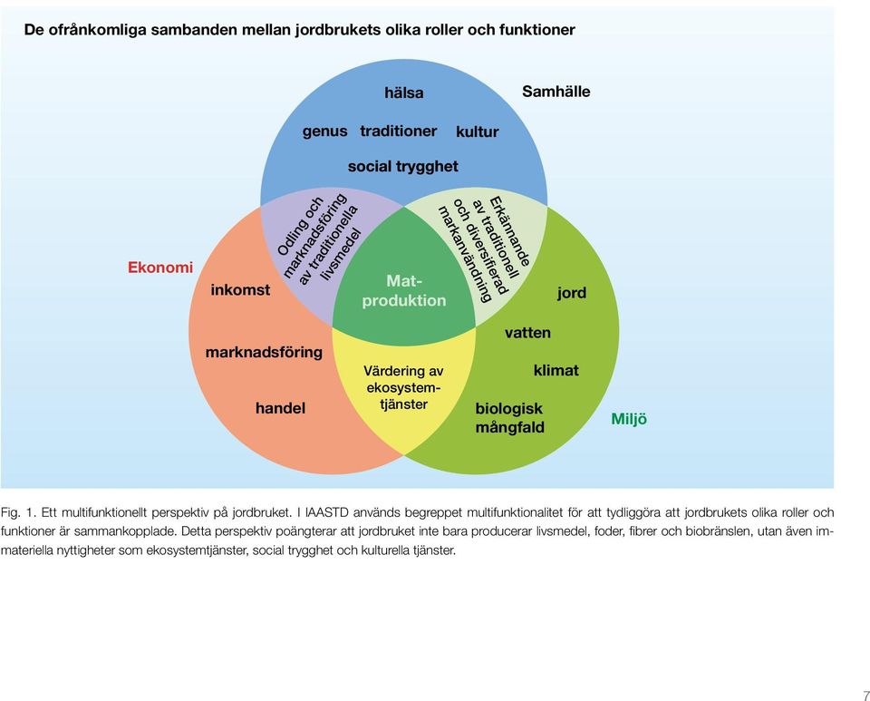 livsmedel Matproduktion Erkännande av traditionell och diversifierad markanvändning jord marknadsföring handel Värdering av ekosystemtjänster vatten biologisk mångfald klimat Miljö Fig. 1.