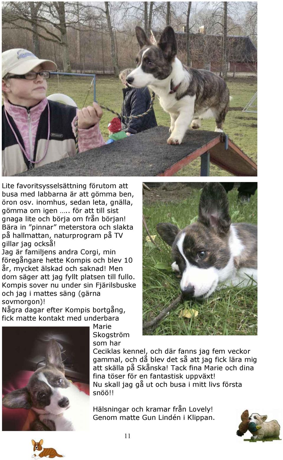 Men dom säger att jag fyllt platsen till fullo. Kompis sover nu under sin Fjärilsbuske och jag i mattes säng (gärna sovmorgon)!