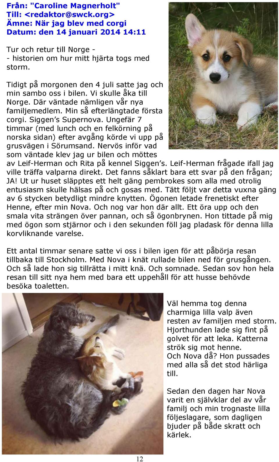 Ungefär 7 timmar (med lunch och en felkörning på norska sidan) efter avgång körde vi upp på grusvägen i Sörumsand.