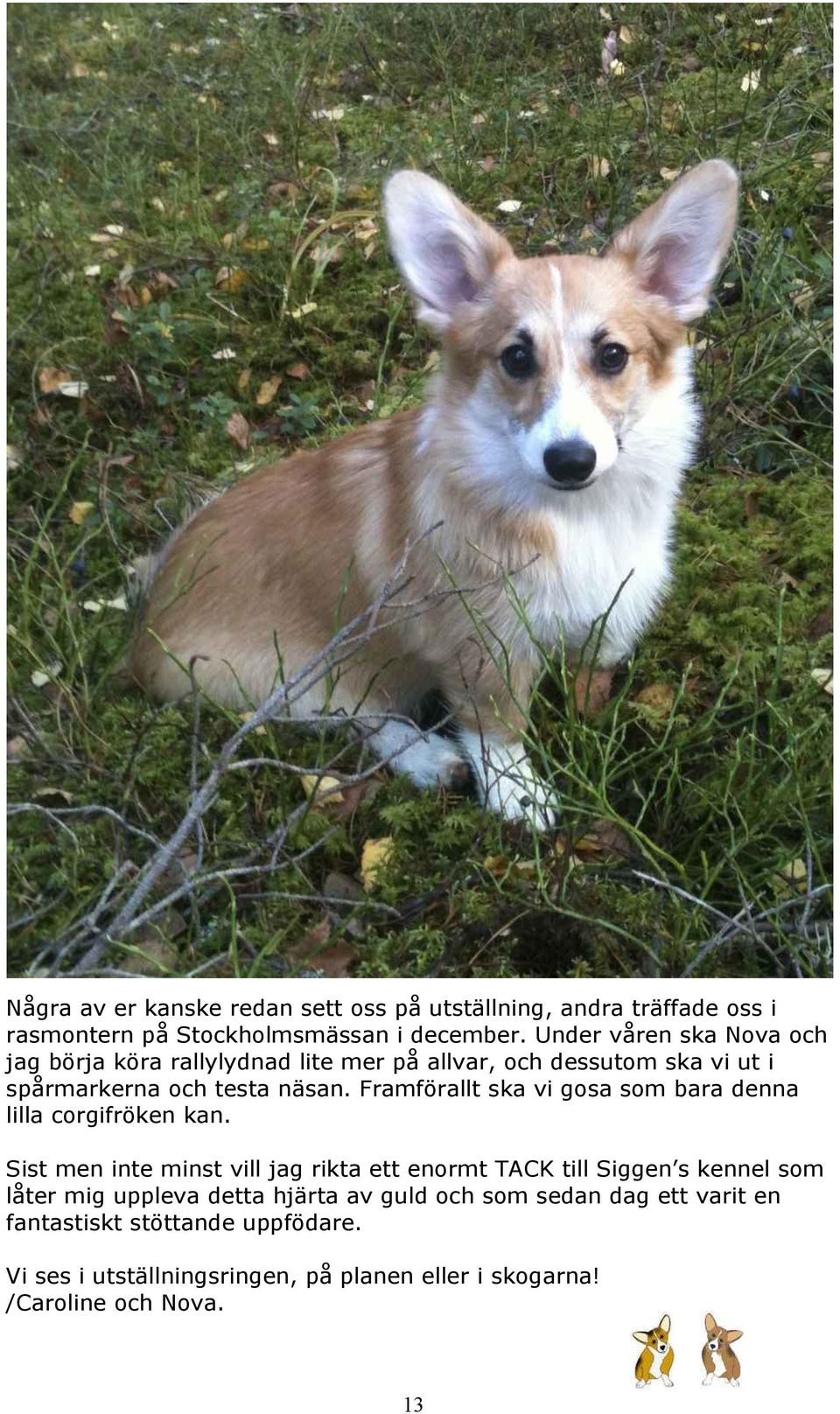 Framförallt ska vi gosa som bara denna lilla corgifröken kan.