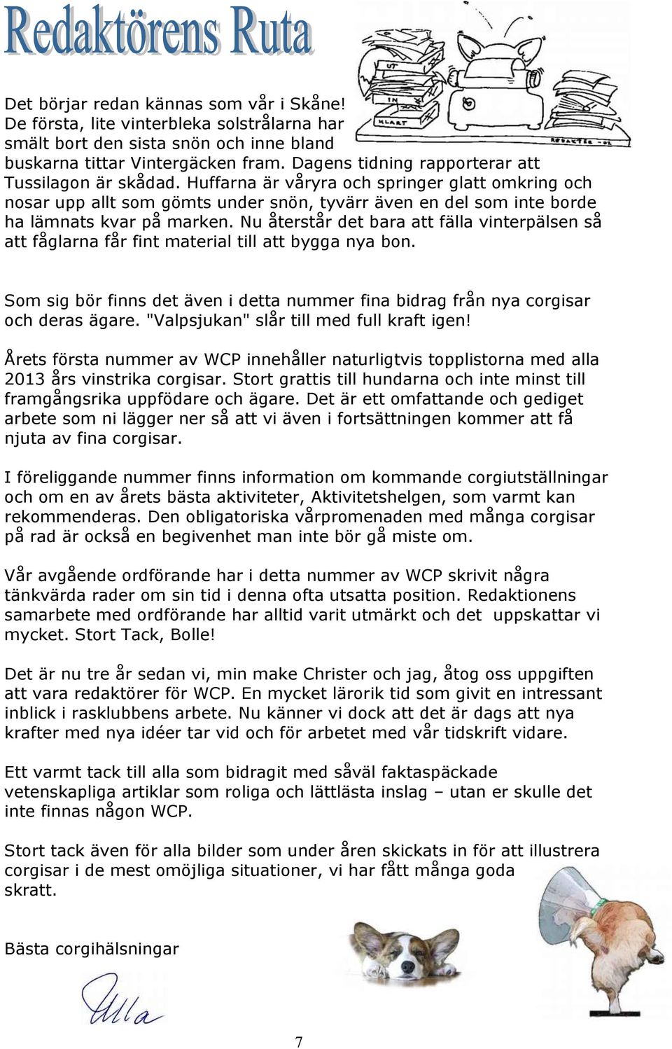 Nu återstår det bara att fälla vinterpälsen så att fåglarna får fint material till att bygga nya bon. Som sig bör finns det även i detta nummer fina bidrag från nya corgisar och deras ägare.