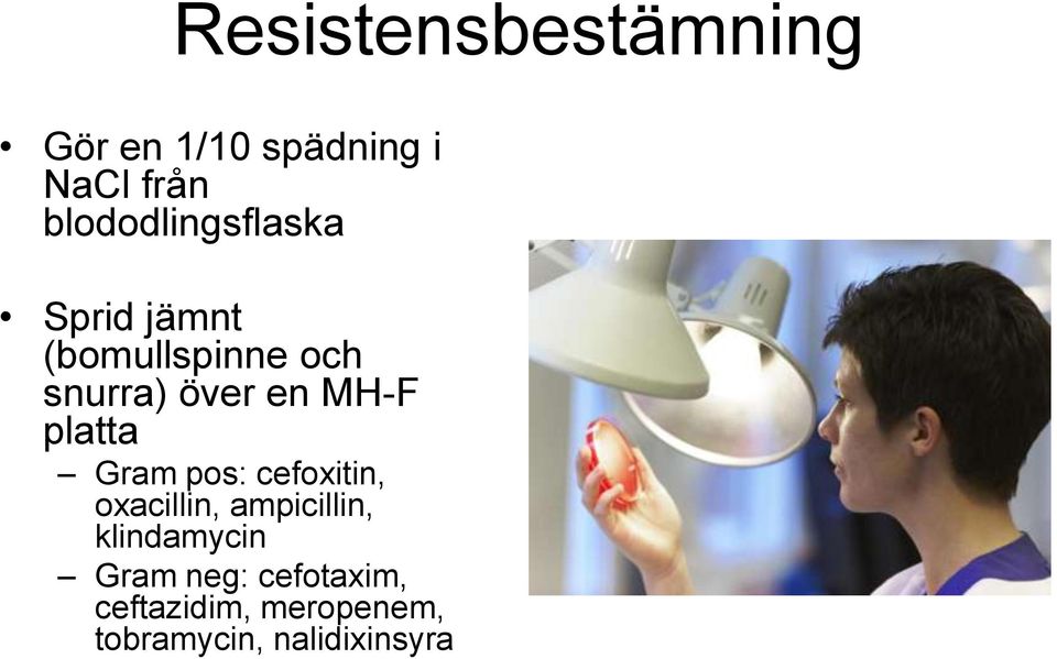 MH-F platta Gram pos: cefoxitin, oxacillin, ampicillin,