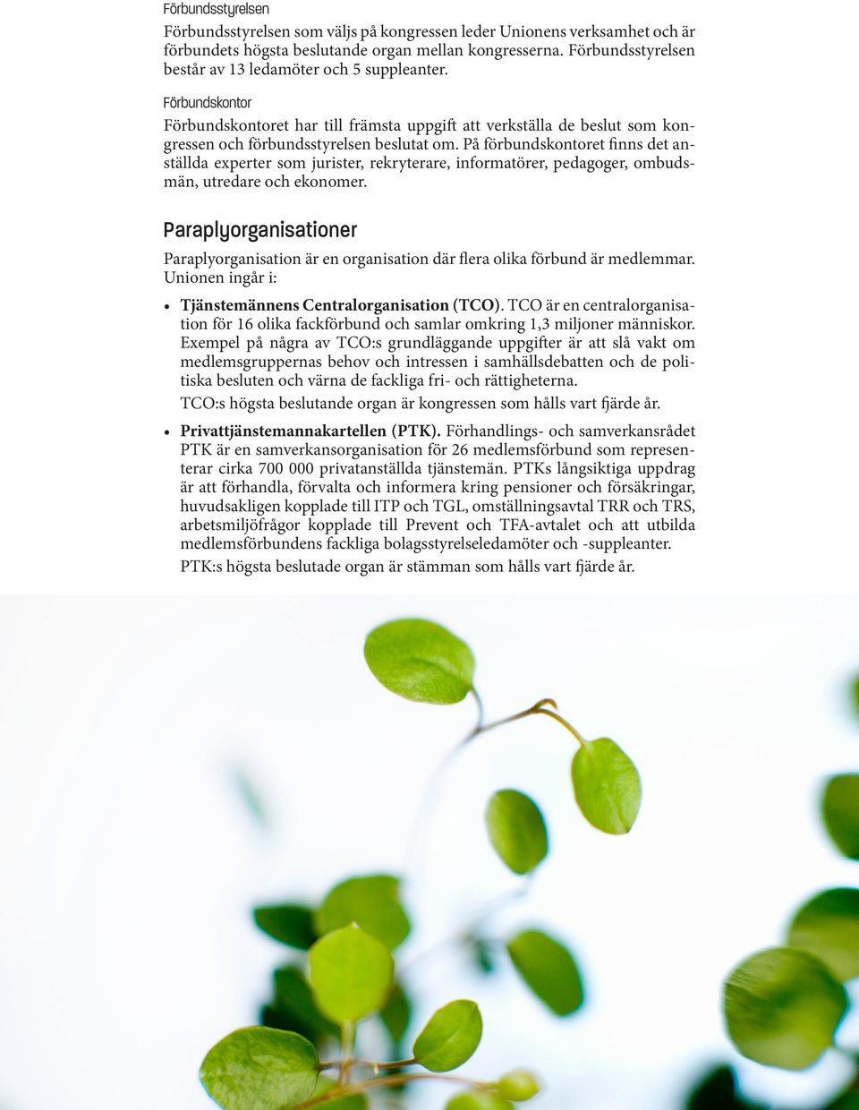 På förbundskontoret finns det anställda experter som jurister, rekryterare, informatörer, pedagoger, ombudsmän, utredare och ekonomer.