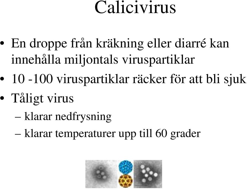 viruspartiklar räcker för att bli sjuk Tåligt virus