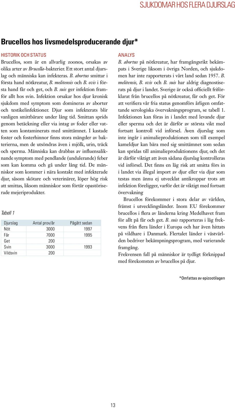 Infektion orsakar hos djur kronisk sjukdom med symptom som domineras av aborter och testikelinfektioner. Djur som infekterats blir vanligen smittbärare under lång tid.