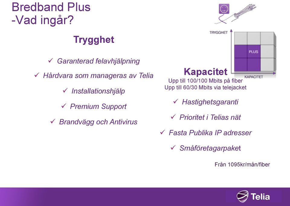 Installationshjälp Premium Support Brandvägg och Antivirus Kapacitet Upp till