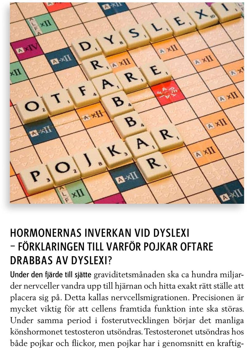 att placera sig på. Detta kallas nervcellsmigrationen. Precisionen är mycket viktig för att cellens framtida funktion inte ska störas.