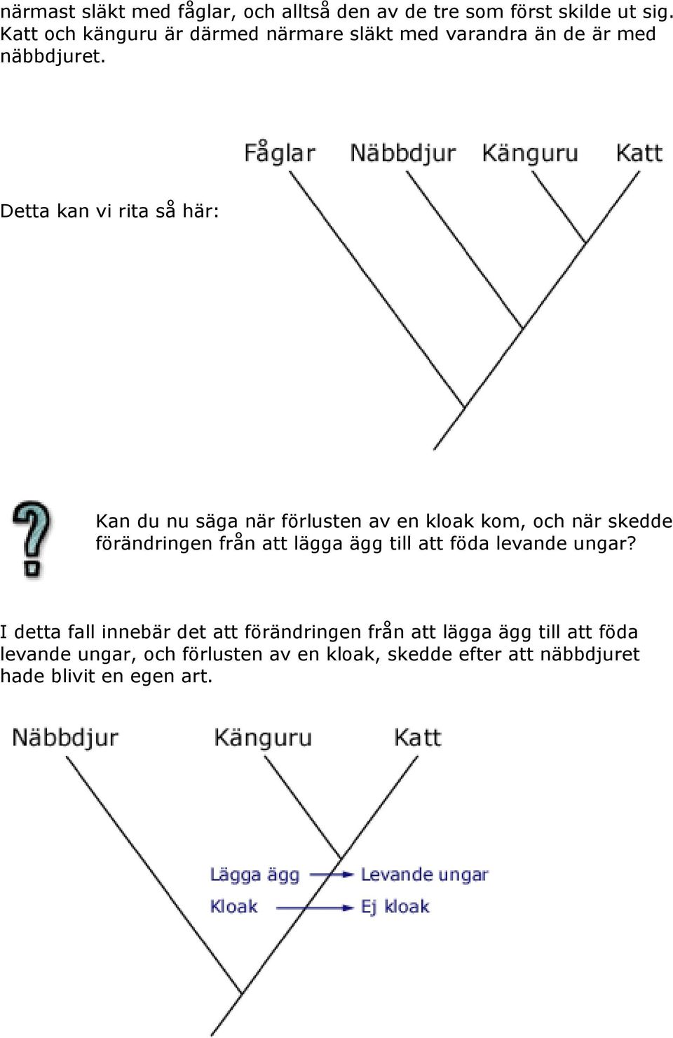 Detta kan vi rita så här: Kan du nu säga när förlusten av en kloak kom, och när skedde förändringen från att lägga