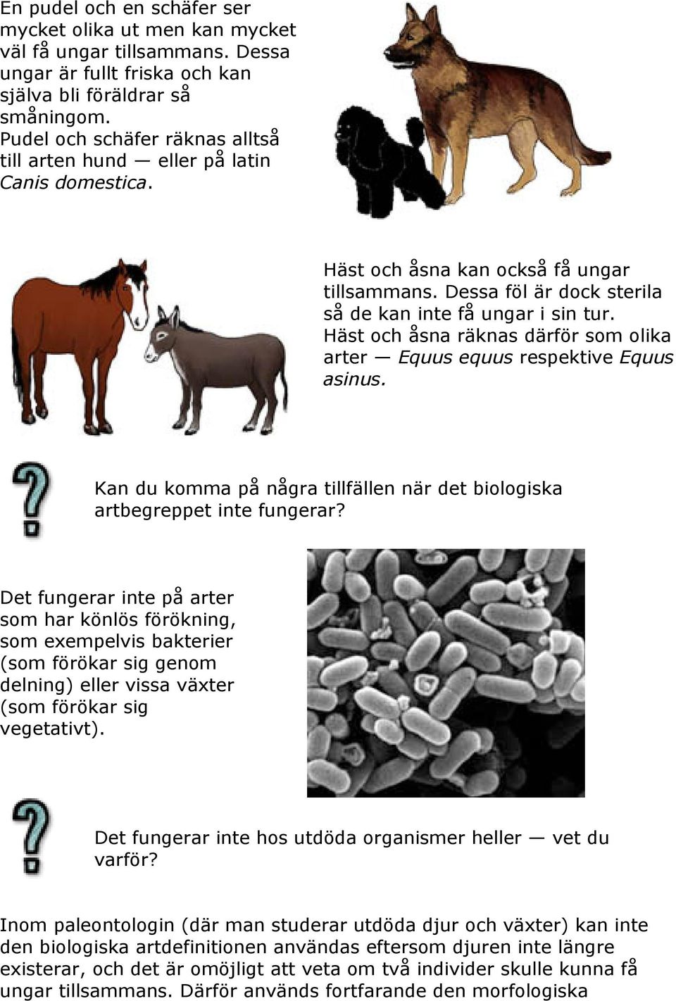 Häst och åsna räknas därför som olika arter Equus equus respektive Equus asinus. Kan du komma på några tillfällen när det biologiska artbegreppet inte fungerar?