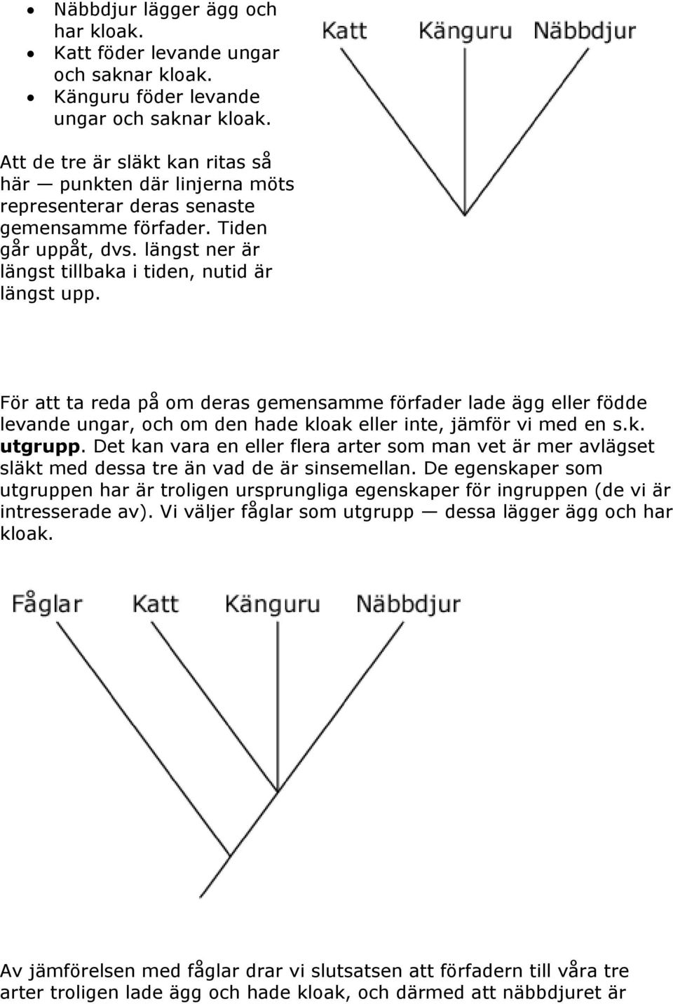 För att ta reda på om deras gemensamme förfader lade ägg eller födde levande ungar, och om den hade kloak eller inte, jämför vi med en s.k. utgrupp.