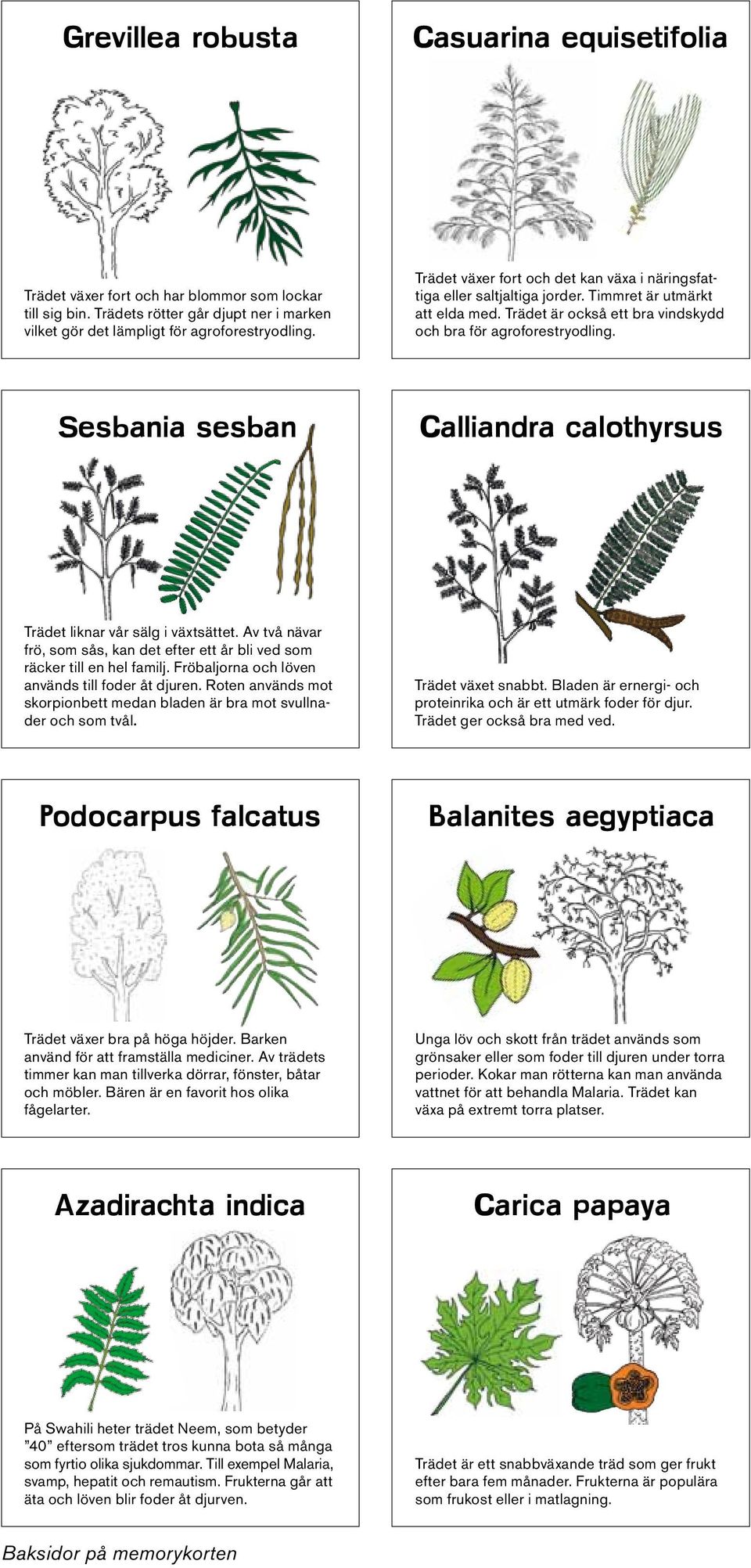 Sesbania sesban Calliandra calothyrsus Trädet liknar vår sälg i växtsättet. Av två nävar frö, som sås, kan det efter ett år bli ved som räcker till en hel familj.