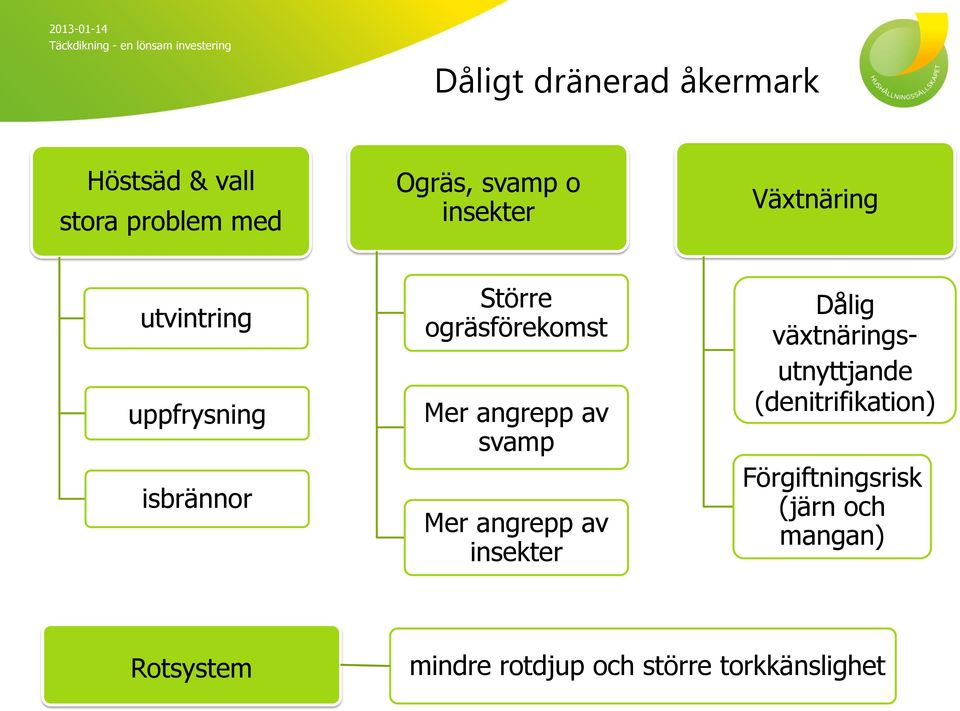 svamp Mer angrepp av insekter Dålig växtnäringsutnyttjande (denitrifikation)