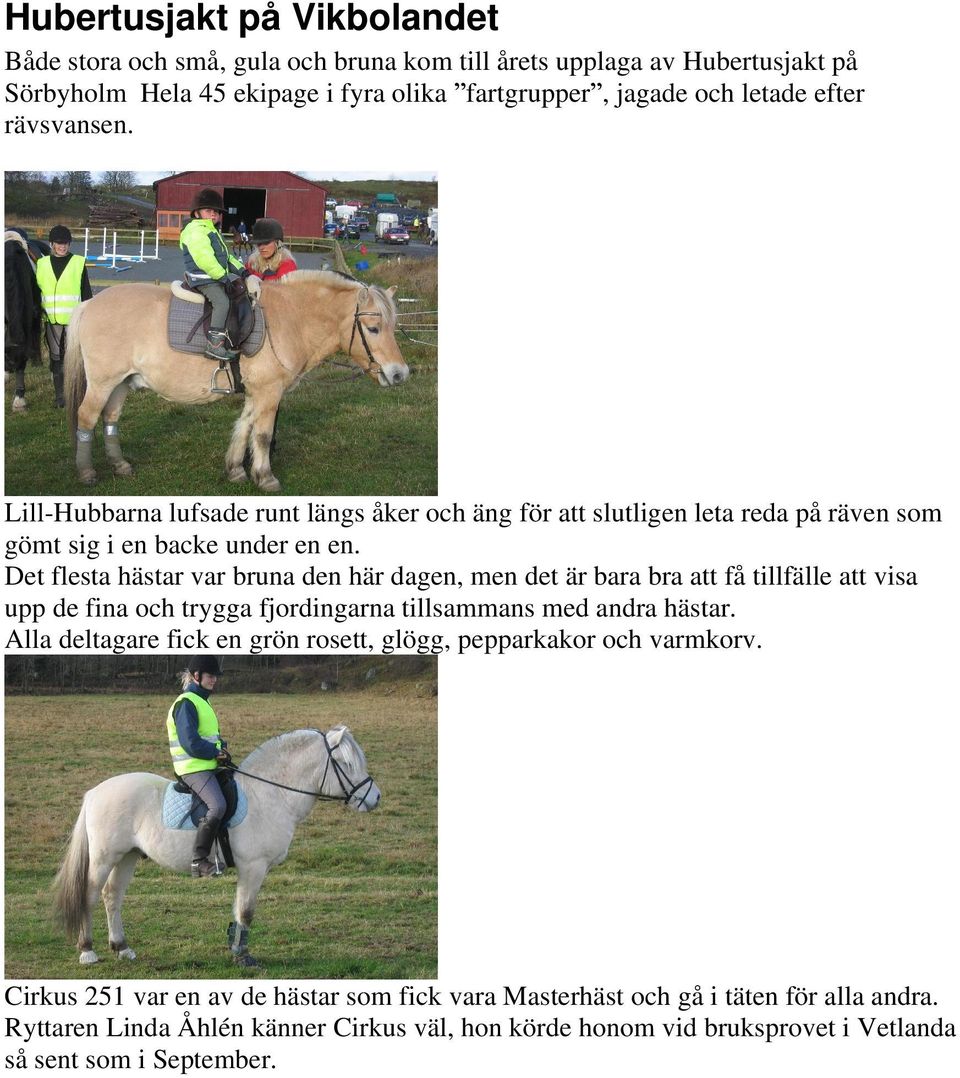 Det flesta hästar var bruna den här dagen, men det är bara bra att få tillfälle att visa upp de fina och trygga fjordingarna tillsammans med andra hästar.