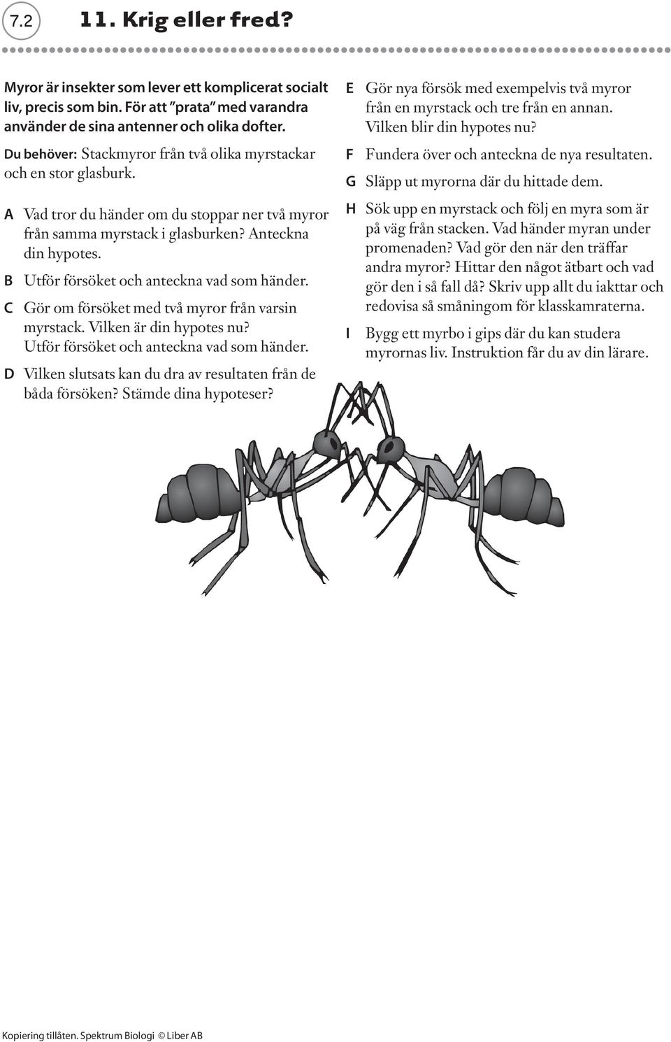 B Utför försöket och anteckna vad som händer. C Gör om försöket med två myror från varsin myrstack. Vilken är din hypotes nu? Utför försöket och anteckna vad som händer. D Vilken slutsats kan du dra av resultaten från de båda försöken?