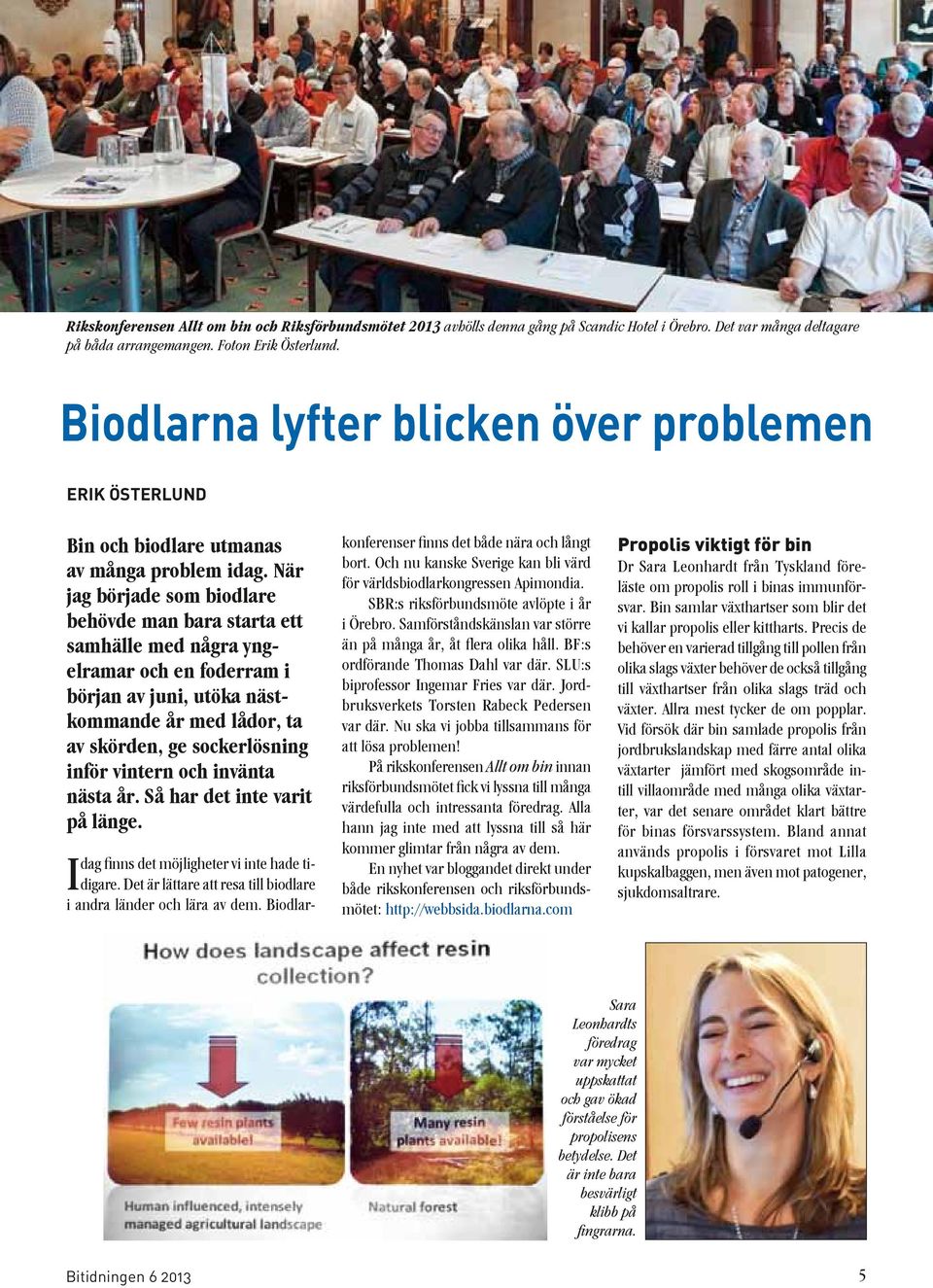 När jag började som biodlare behövde man bara starta ett samhälle med några yngelramar och en foderram i början av juni, utöka nästkommande år med lådor, ta av skörden, ge sockerlösning inför vintern