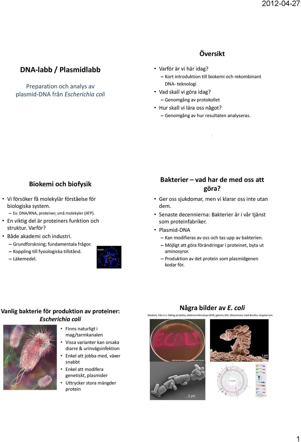 Ex: DNARNA, proteiner, små molekyler (ATP). En viktig del är proteiners funktion och struktur. Varför? Både akademi och industri. Grundforskning; fundamentala frågor.