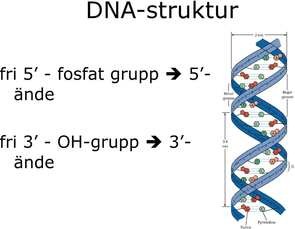 5 - ände fri 3 -