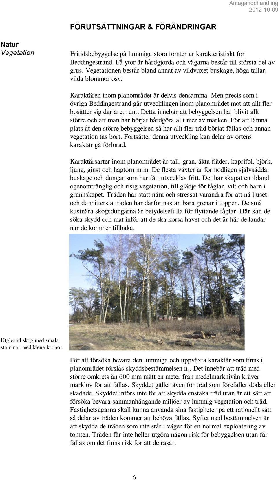Men precis som i övriga Beddingestrand går utvecklingen inom planområdet mot att allt fler bosätter sig där året runt.